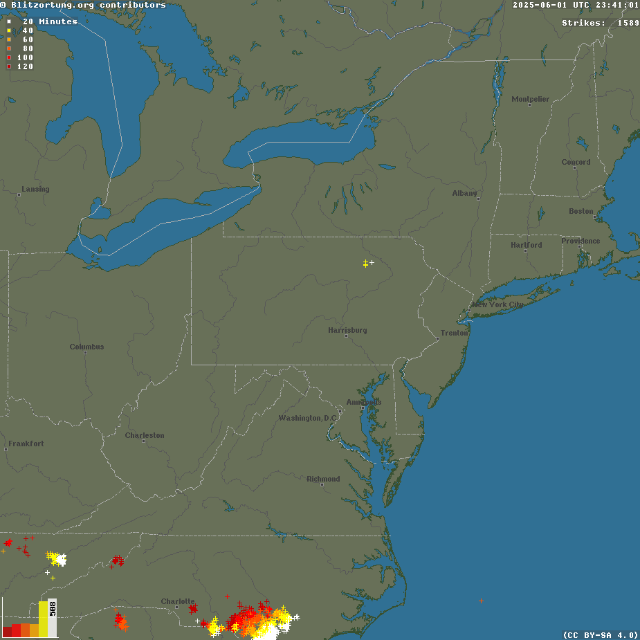 Lightnings USA - North America